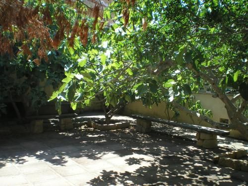 Outdoor Pictures 3