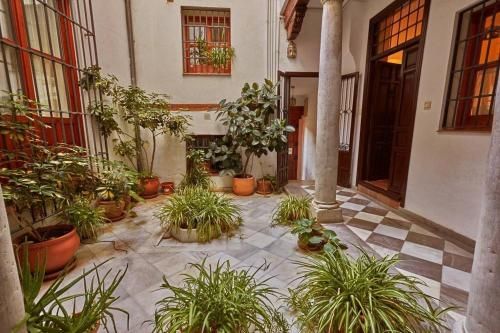 Spacious, sunny and quiet Albayzin apartment