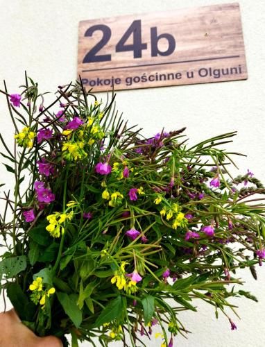 Outdoor Pictures 6