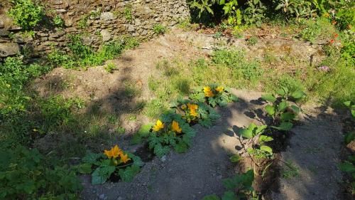Outdoor Pictures 23