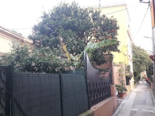 Outdoor Pictures 7