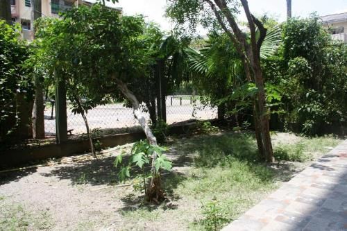 Outdoor Pictures 11