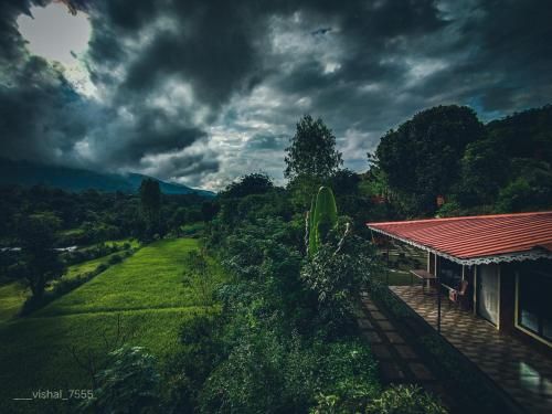 Outdoor Pictures 9