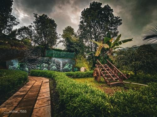 Outdoor Pictures 12
