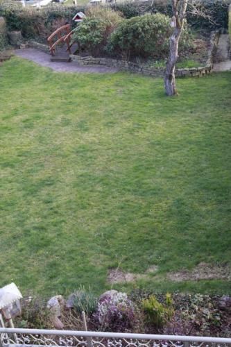 Outdoor Pictures 19