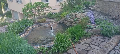 Outdoor Pictures 23