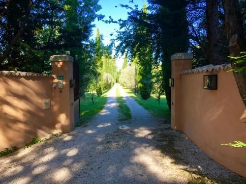 Outdoor Pictures 22