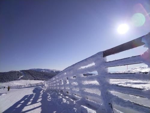 Outdoor Pictures 20