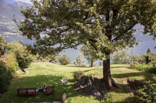 Outdoor Pictures 23