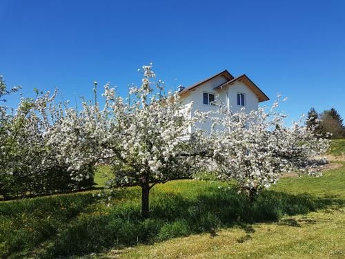 Ferienwohnung Bühlingen