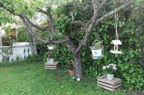 Outdoor Pictures 8