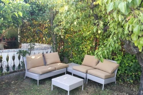 Outdoor Pictures 9