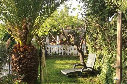 Outdoor Pictures 10