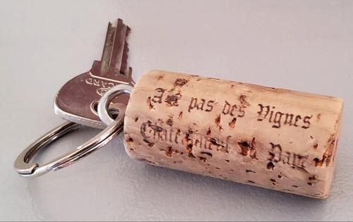 A 2 pas des vignes, hebergements et SPA, à Châteauneuf du Pape, maison numéro 12