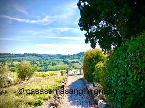 Outdoor Pictures 24
