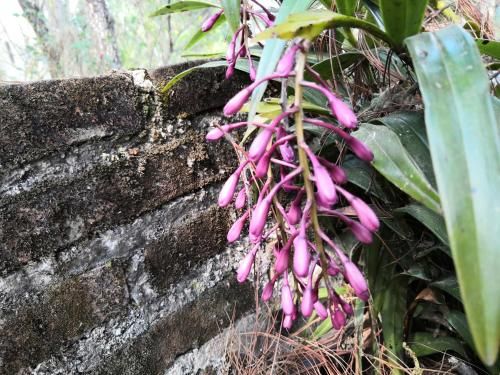 Outdoor Pictures 10