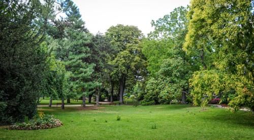 Outdoor Pictures 21