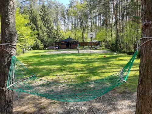 Outdoor Pictures 21
