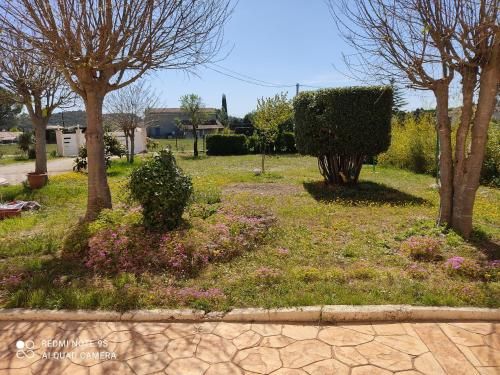Outdoor Pictures 5