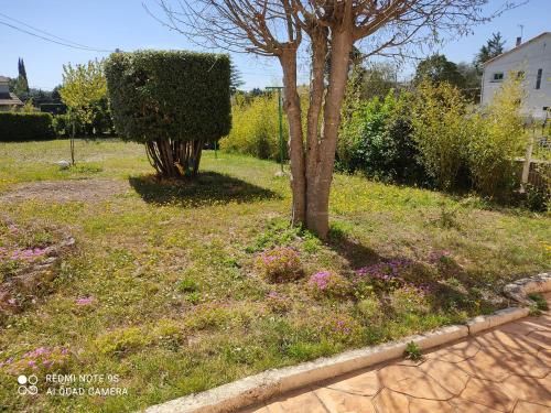Outdoor Pictures 6