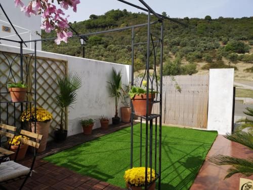 Outdoor Pictures 20