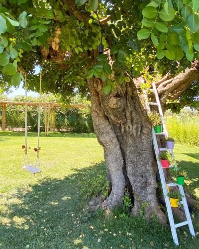 Outdoor Pictures 9