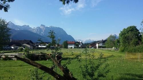 Outdoor Pictures 23