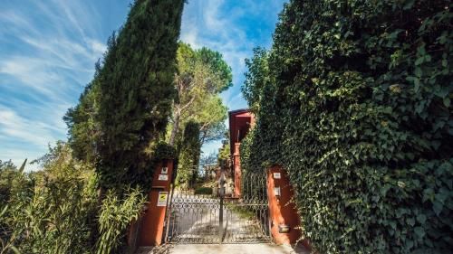 Outdoor Pictures 7