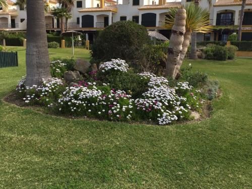Outdoor Pictures 7