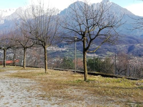Outdoor Pictures 22