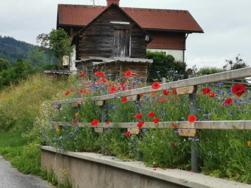 Outdoor Pictures 17