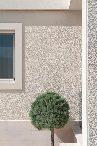 Outdoor Pictures 21