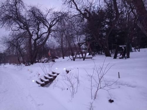 Outdoor Pictures 3