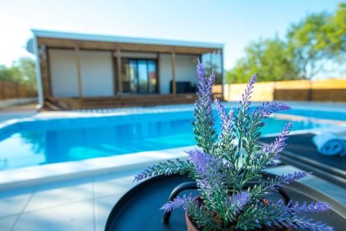 Outdoor Pictures 9