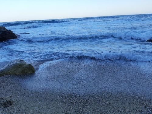 Outdoor Pictures 16