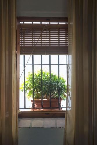 Outdoor Pictures 24