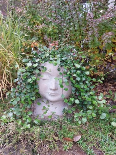 Outdoor Pictures 15