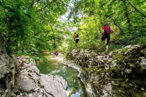 Outdoor Pictures 20