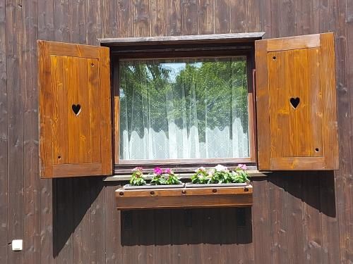 Outdoor Pictures 8