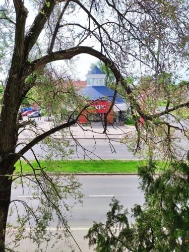 Outdoor Pictures 12