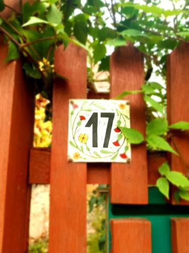 Outdoor Pictures 8
