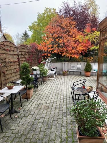 Outdoor Pictures 3