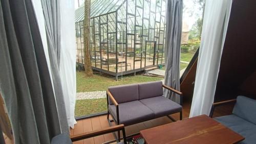 Outdoor Pictures 9