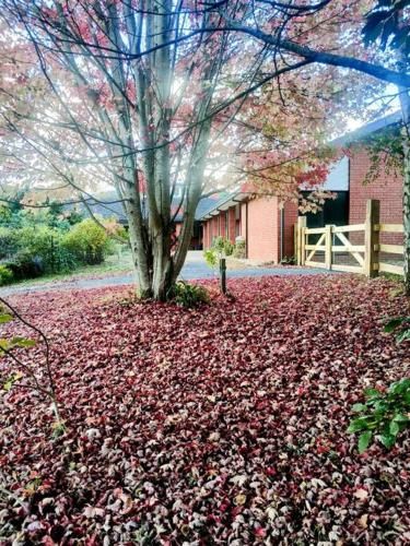 Outdoor Pictures 15