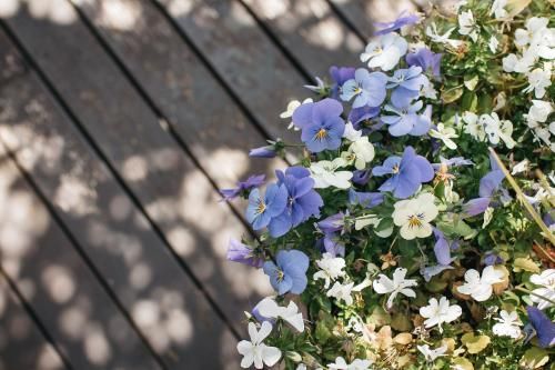 Outdoor Pictures 14