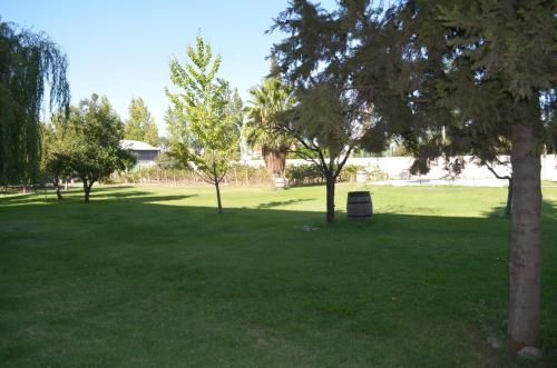 Outdoor Pictures 19