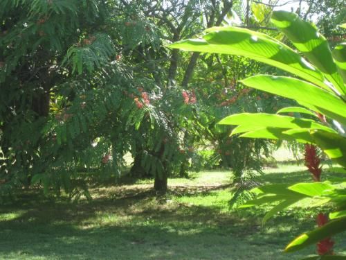 Outdoor Pictures 5