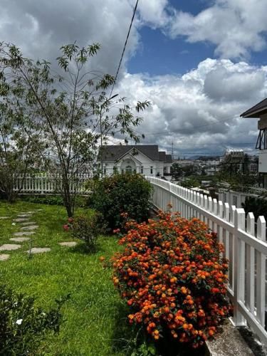 Outdoor Pictures 23