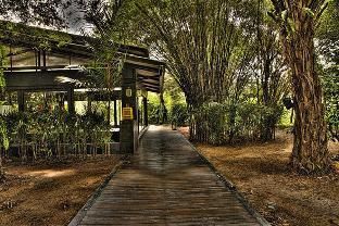 Outdoor Pictures 13