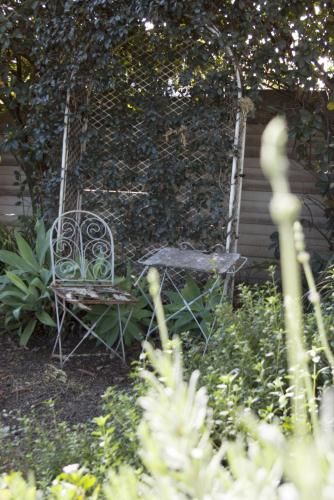 Outdoor Pictures 7